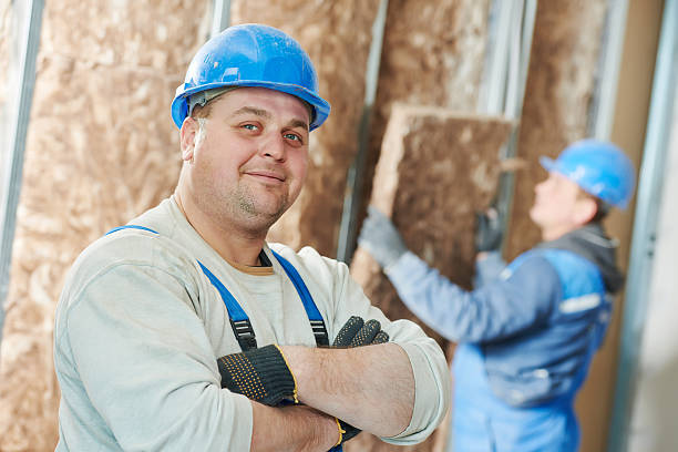 Best Cellulose Insulation  in Hughes Springs, TX